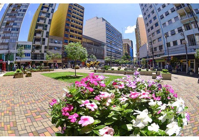 Apartamento para Alugar no Centro de Londrina | Imobiliária Serenity