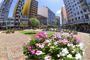 Apartamento para Alugar no Centro de Londrina | Imobiliária Serenity
